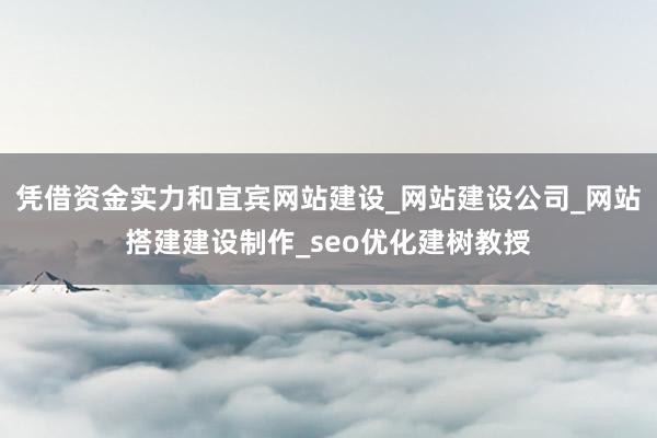 凭借资金实力和宜宾网站建设_网站建设公司_网站搭建建设制作_seo优化建树教授